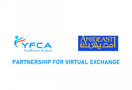Partnership for Virtual Exchange