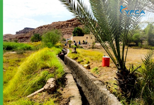 جمعية رعاية الأسرة توزع الجولة الثالثة من المساعدات النقدية الخاصة بنشاط النقد مقابل العمل