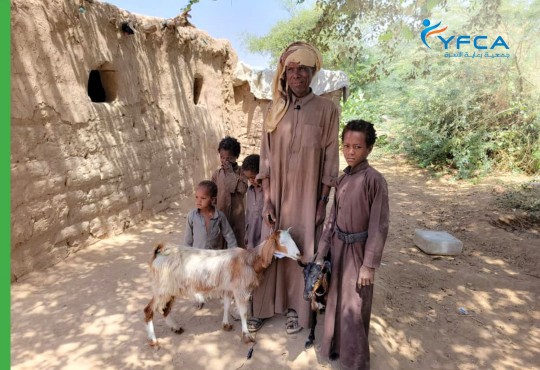 جمعة رعاية الأسرة تمكن النازحين الأكبر سناً في مدينة مأرب من خلال دعم سبل العيش