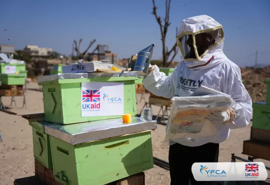 جمعية رعاية الأسرة  تعزز المجتمعات في الضالع من خلال منح نقدية وحقائب لتربية النحل