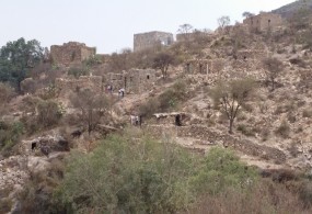 الضالع / الحشا / مشروع الأمن الغذائي و تحسين سبل المعيشة و المياه و الإصحاح البيئي.