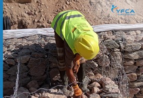 250 targeted households participated in the Cash For Work (CFW) interventions & were provided with second round of cash assistance