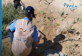 جمعية رعاية الأسرة تراقب جودة المياه في خمس مديريات من محافظة شبوة