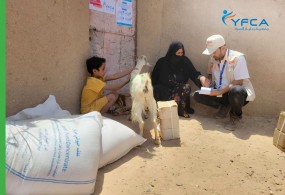 جمعة رعاية الأسرة تمكن النازحين الأكبر سناً في مدينة مأرب من خلال دعم سبل العيش