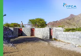 جمعية رعاية الأسرة تنفذ نشاط النقد مقابل العمل لتعزيز القطاع الزراعي في محافظة شبوة