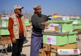 جمعية رعاية الأسرة  تعزز المجتمعات في الضالع من خلال منح نقدية وحقائب لتربية النحل