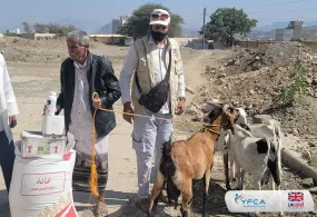 جمعية رعاية الأسرة تطلق برنامج الدعم المالي والزراعي للمجتمعات في شبوة والضالع