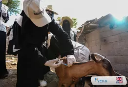 جمعية رعاية الأسرة تعزز مهارات 123 مستفيداً في مجال الثروة الحيوانية ضمن مشروع برايتلي