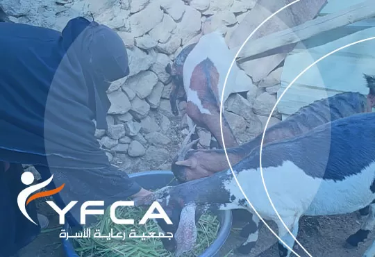 حين تصنع الفرصة مستقبلًا جديدًا