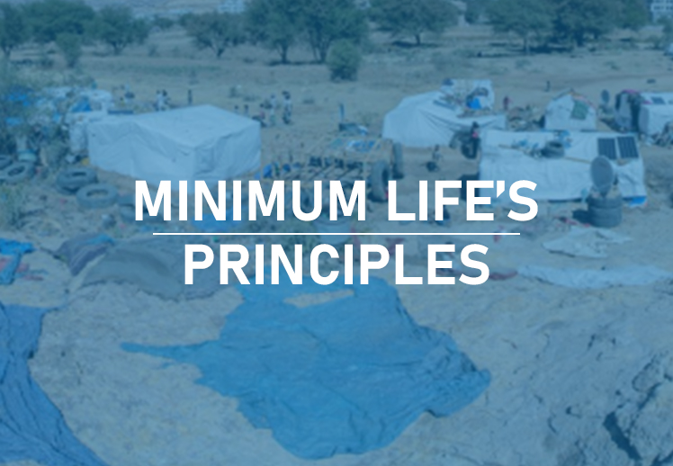MINIMUM LIFE’S PRINCIPLES