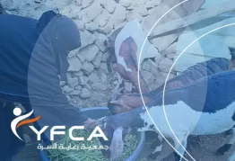 حين تصنع الفرصة مستقبلًا جديدًا
