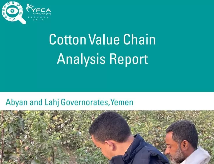 Cotton Value Chain Analysis Report